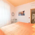Accogliente Appartamento Al Colosseo