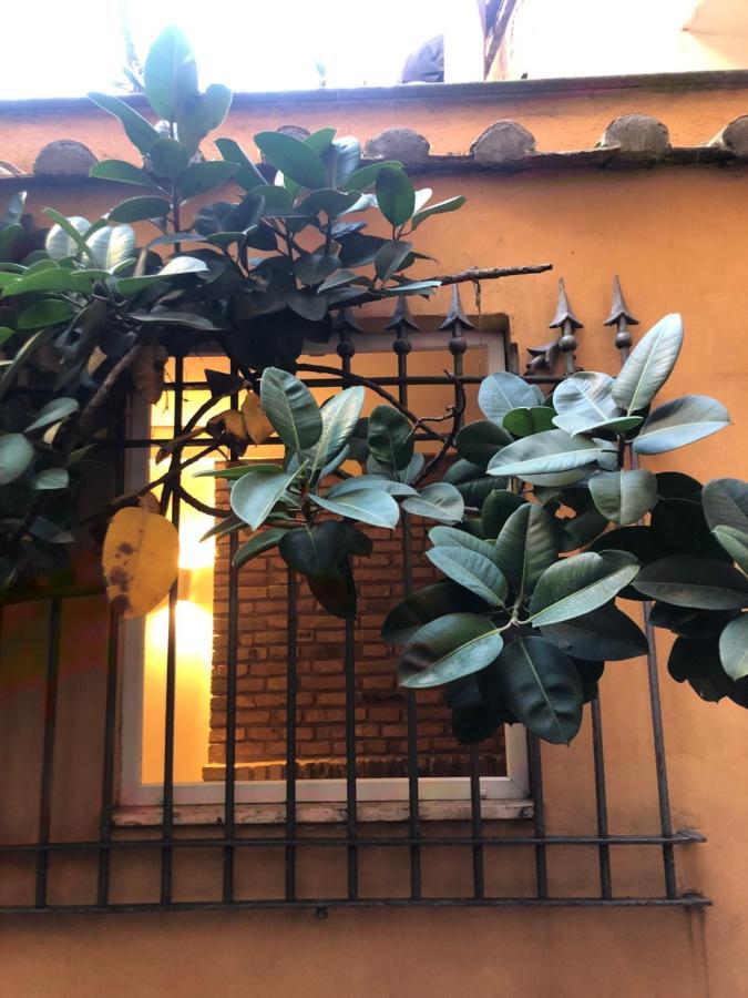 Pantheon, Campo De Fiori Mini Garden Appartement