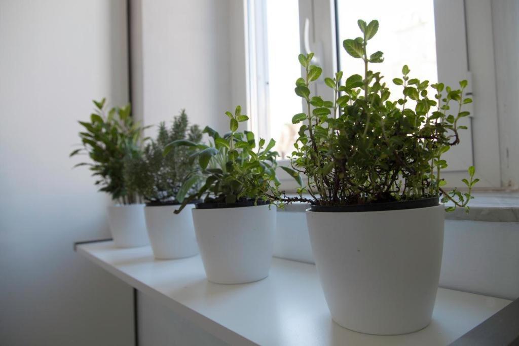 Apartment Navona Design Casa E Per Vacanze Rome