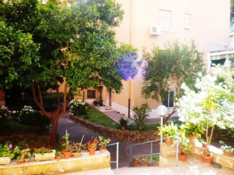 Marymamma * Roma
