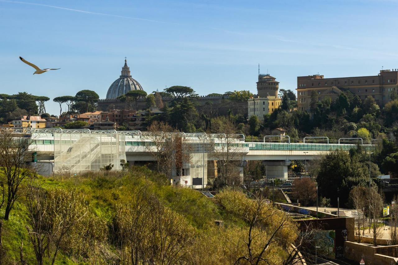 S.pietro ~ A&p Aurelio Roma