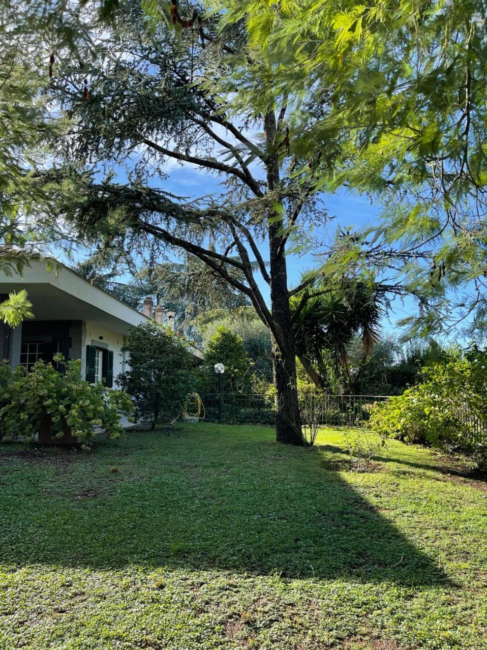 Delightful Stylish House With Private Garden Close To Downtown *