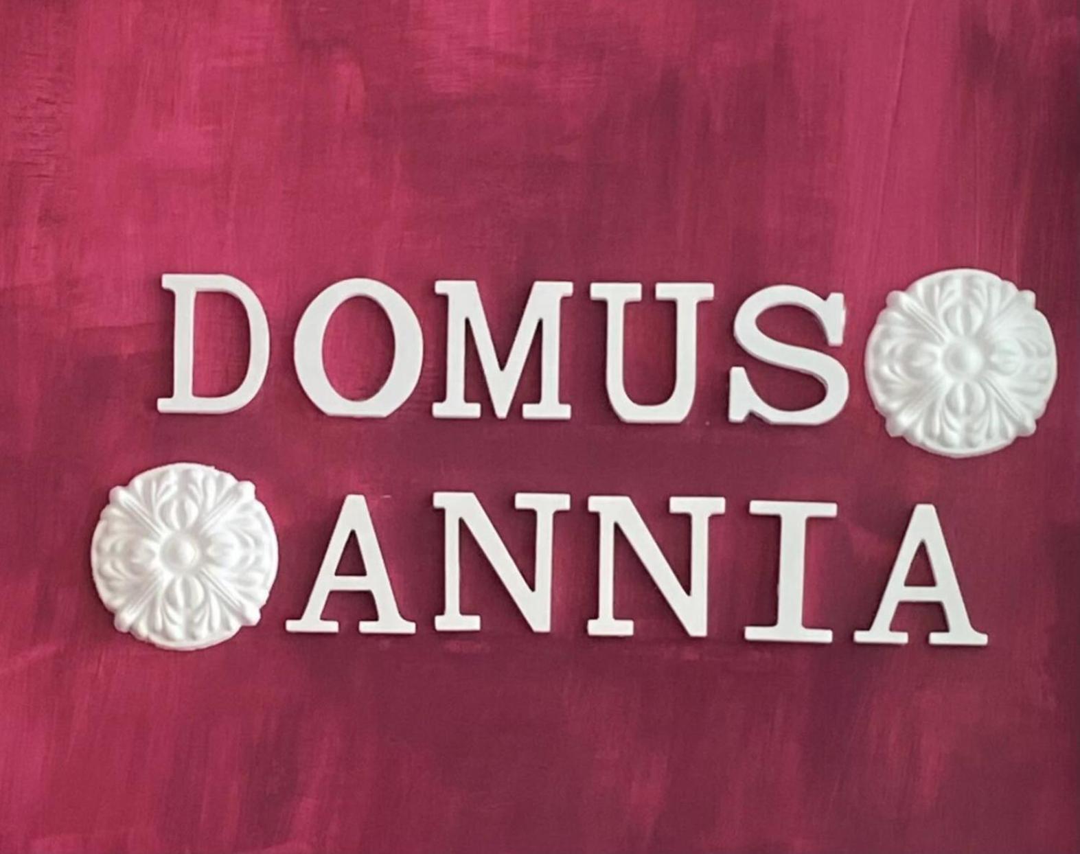 Domus Annia Guest House, The Amazing Colosseum