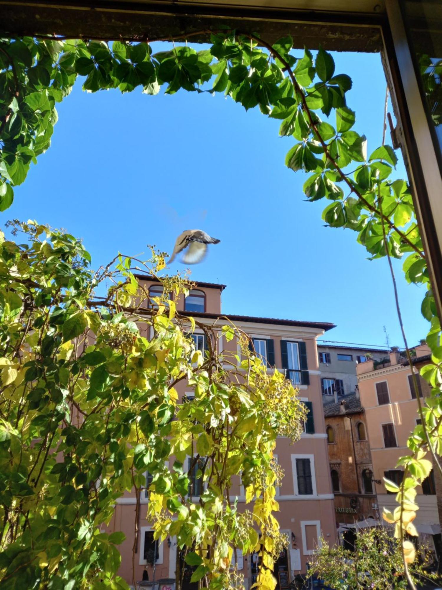 In Trastevere Apartment Rome