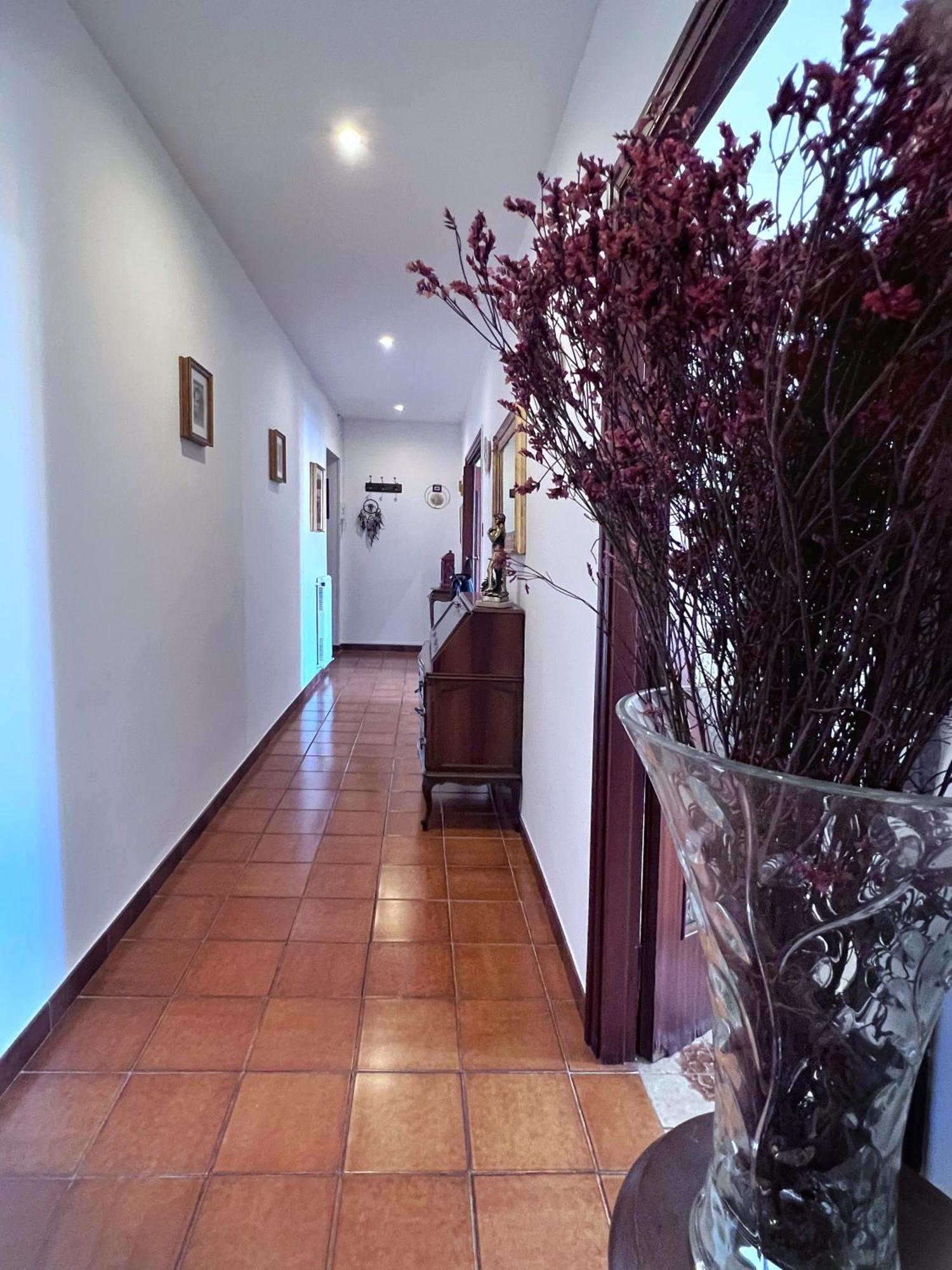 Sonia Trastevere Appartamento *