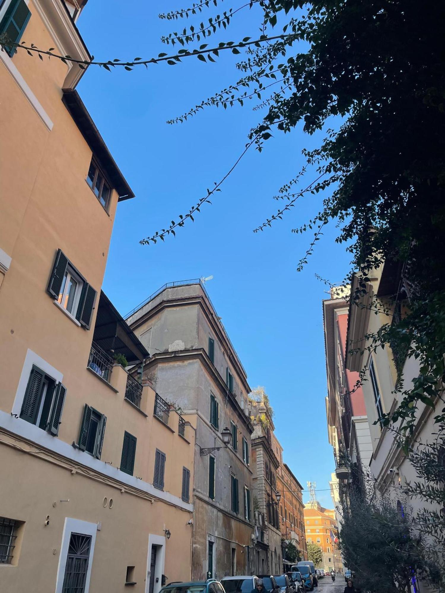 Flatinrome Trastevere Complex - Accetta Bonus Vacanze