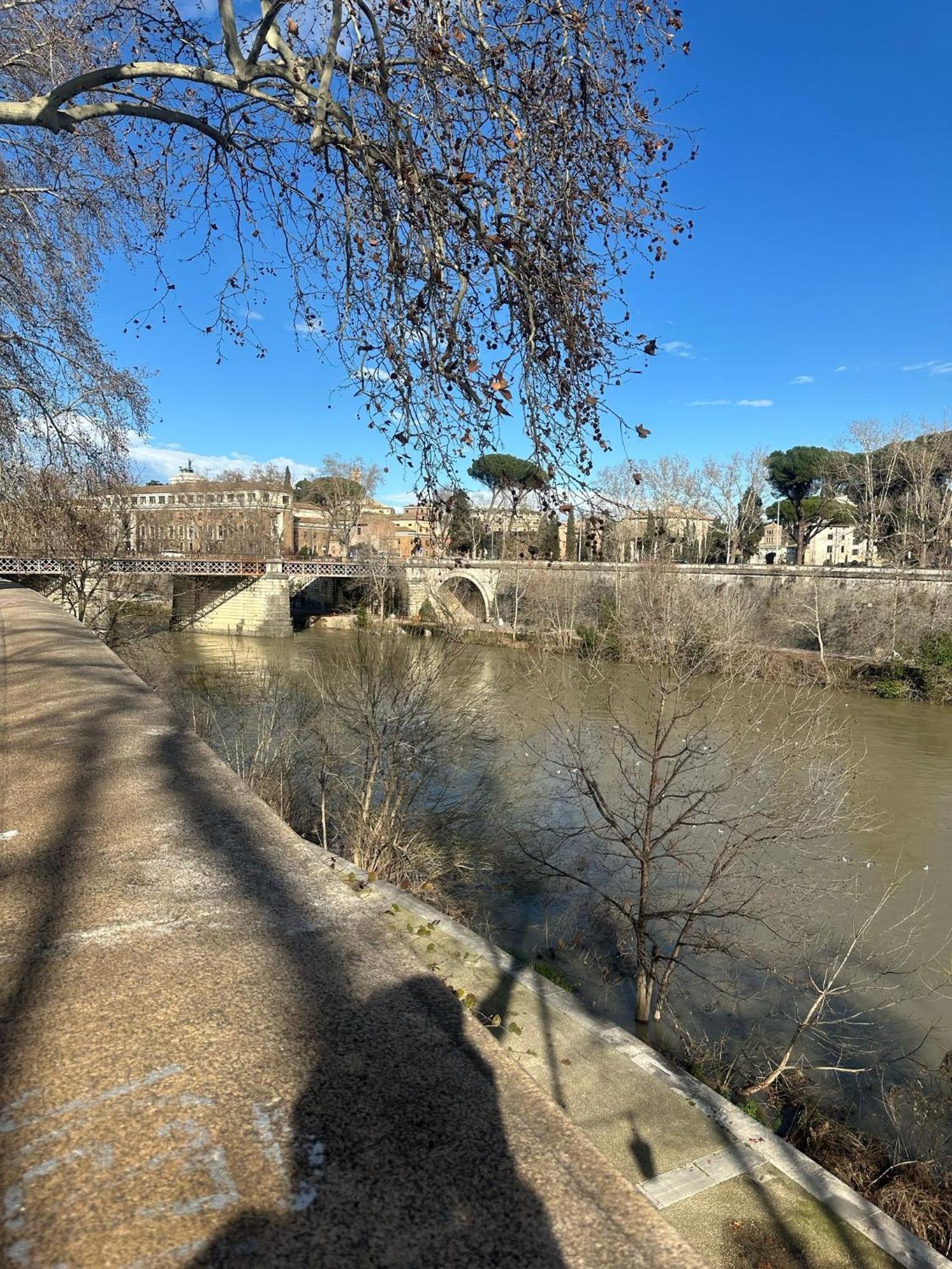 Trastevere Rome's Heart Charming & Cozy 3 *