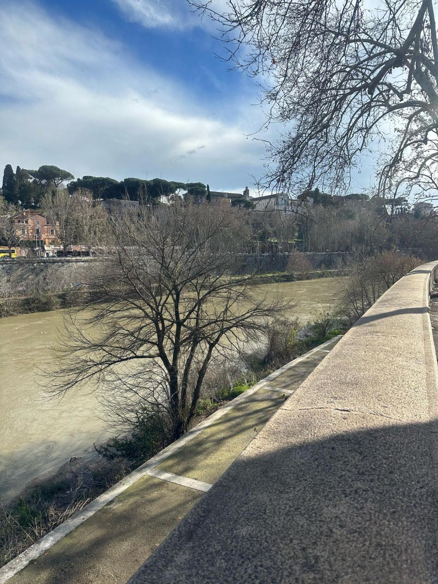 Apartment Trastevere Rome's Heart Charming & Cozy 3