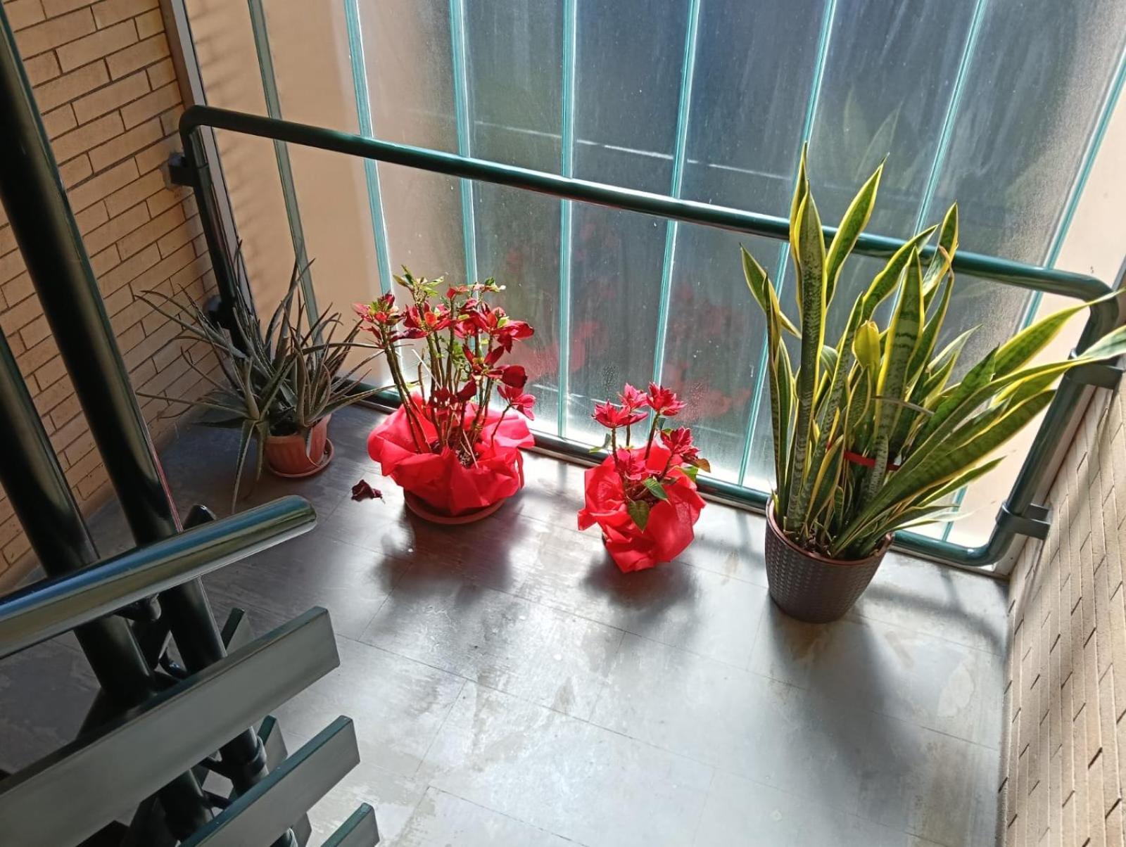 Yana Apartment Rome