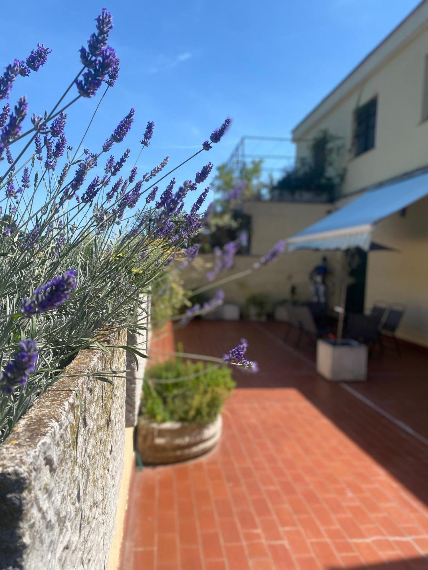 Apartment Terrazza Flaminia Rome