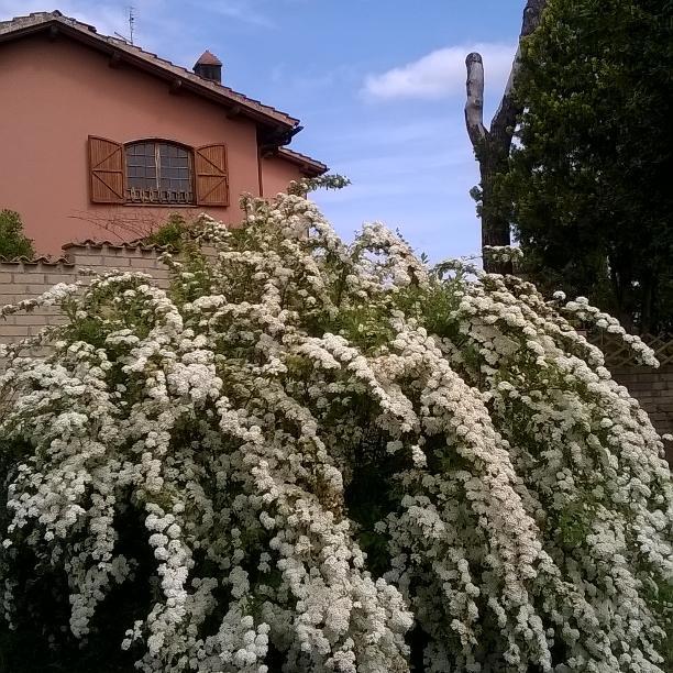 Il Casale Dell'ara Delle Rose Acomodação com café da manhã  Roma