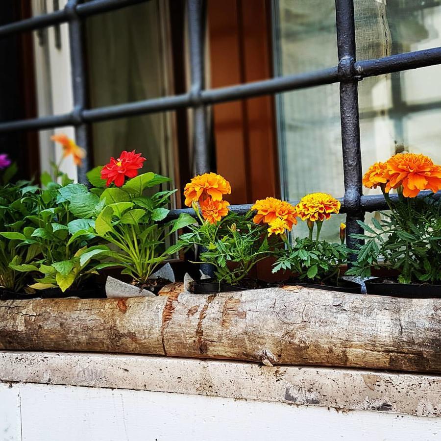 Navona Sweet Apartamento