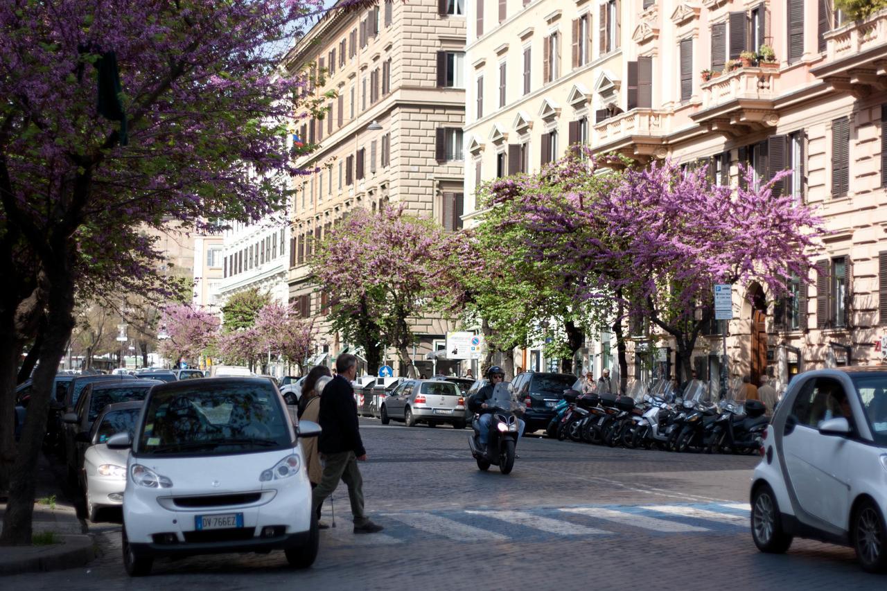 Hotel Eccelso 3*