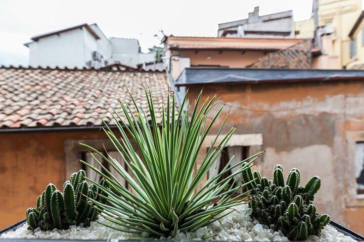 Navona Penthouse Apartment Rome