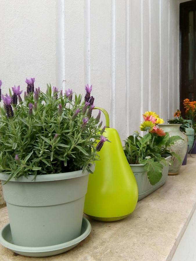 Bed & Breakfast Aquarius Rome
