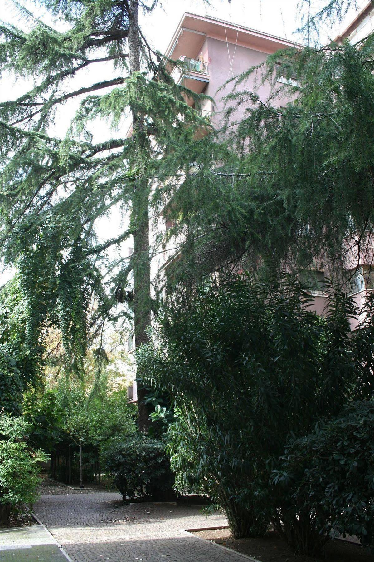 Maison Genevois 3 Bed & Breakfast Rome