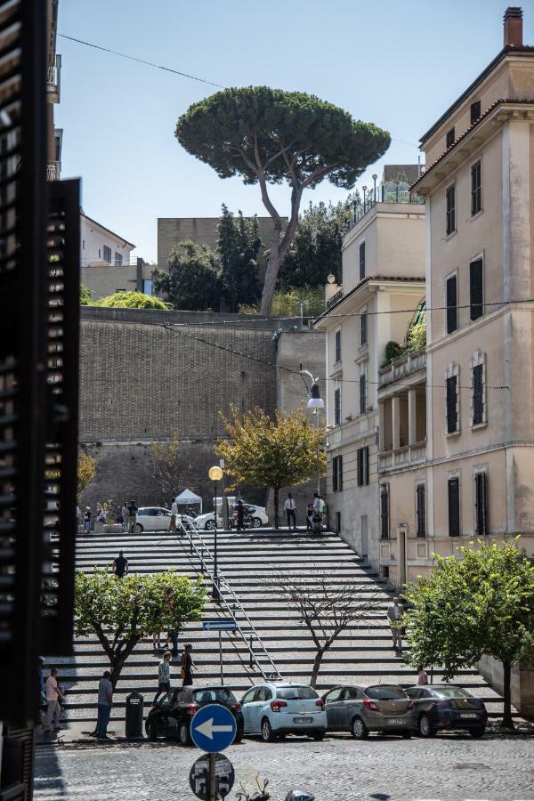 Museum - Finestra Sui Musei Vaticani