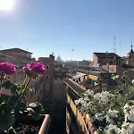 Stelletta 1A