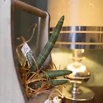 Trastevere Corner Eight