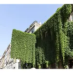 Ivy