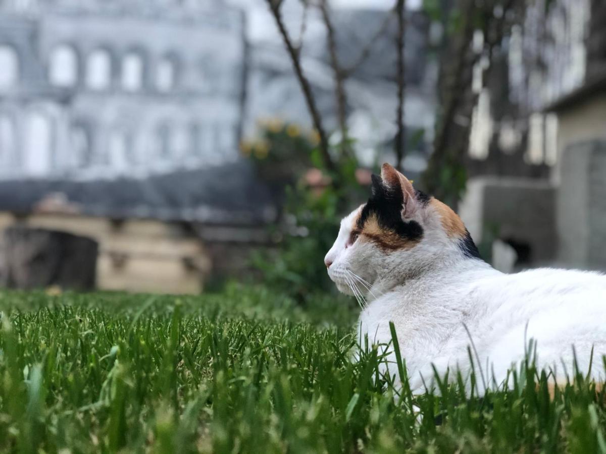 Villino Elda *