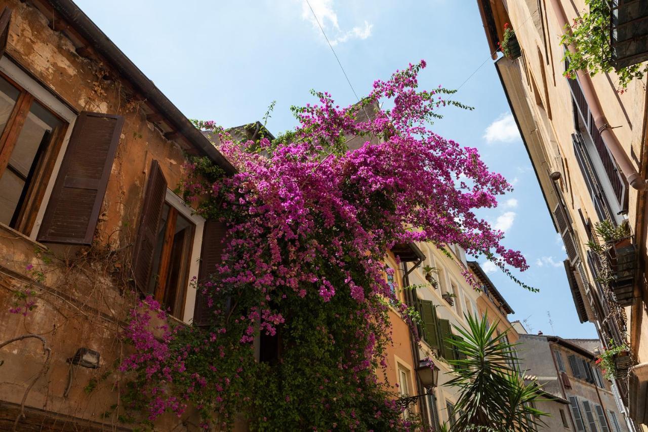 Palace Of Flowers 53 Piazza Navona Appartement