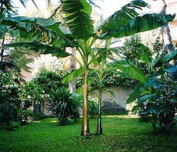 Il Giardino Di Giulia 2 3* Rome