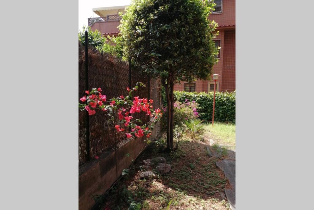 Appartamento La Casa Della Mia Famiglia Roma