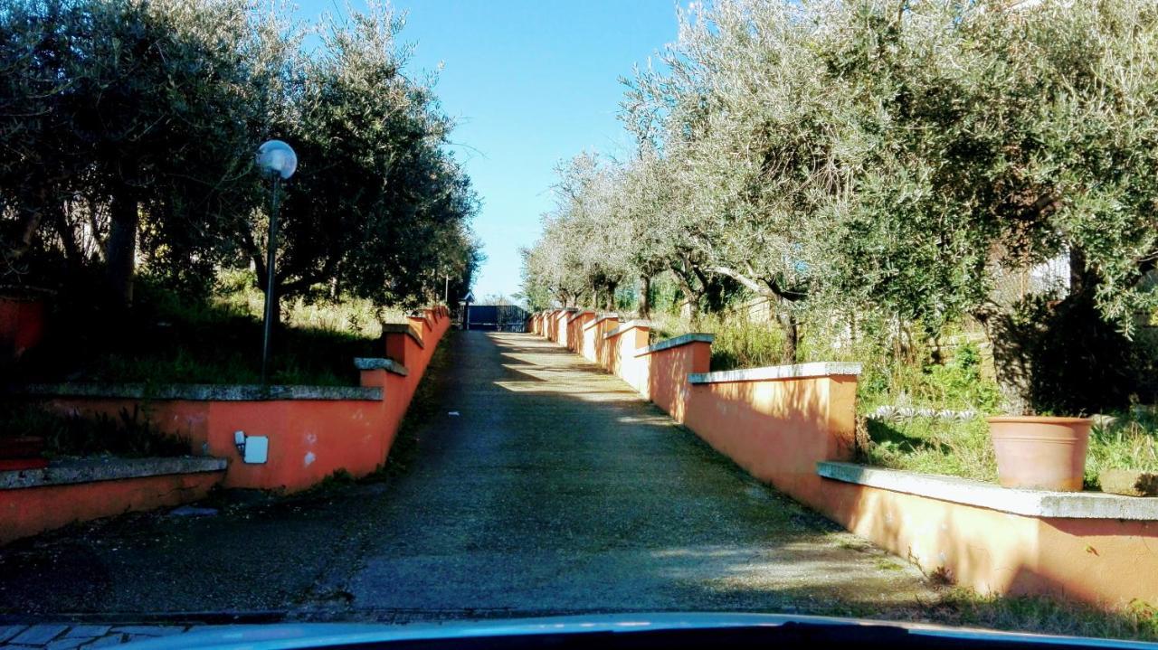 Locazione Turistica Dream House Marzia Vakantiehuis