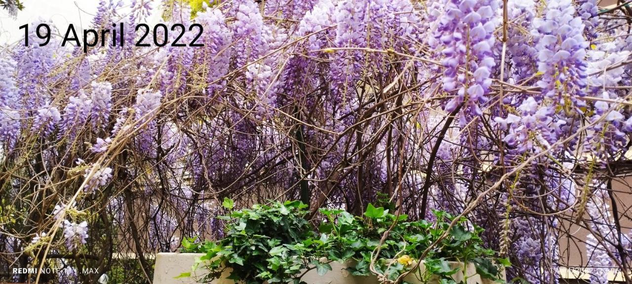 Garden House - Luxury - Only Self Check In Casa de hóspedes Roma