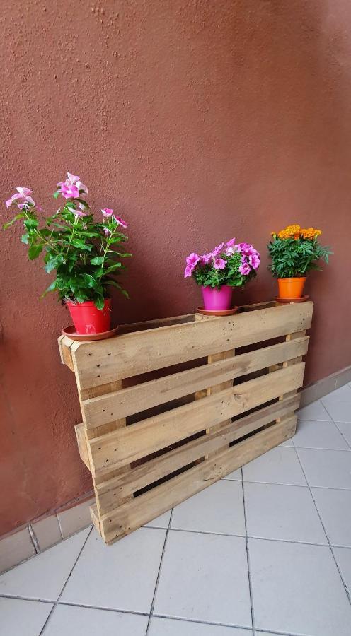 Chic 'n Charme Trastevere Terrace 2 Appartement