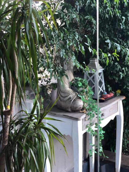 Acomodação com café da manhã  Favoloso Con Giardino