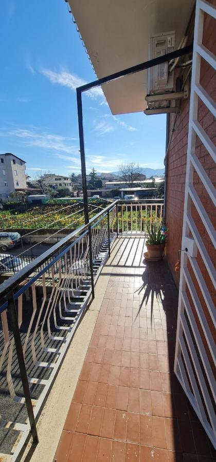 800mt Dalla Metro Apartment *
