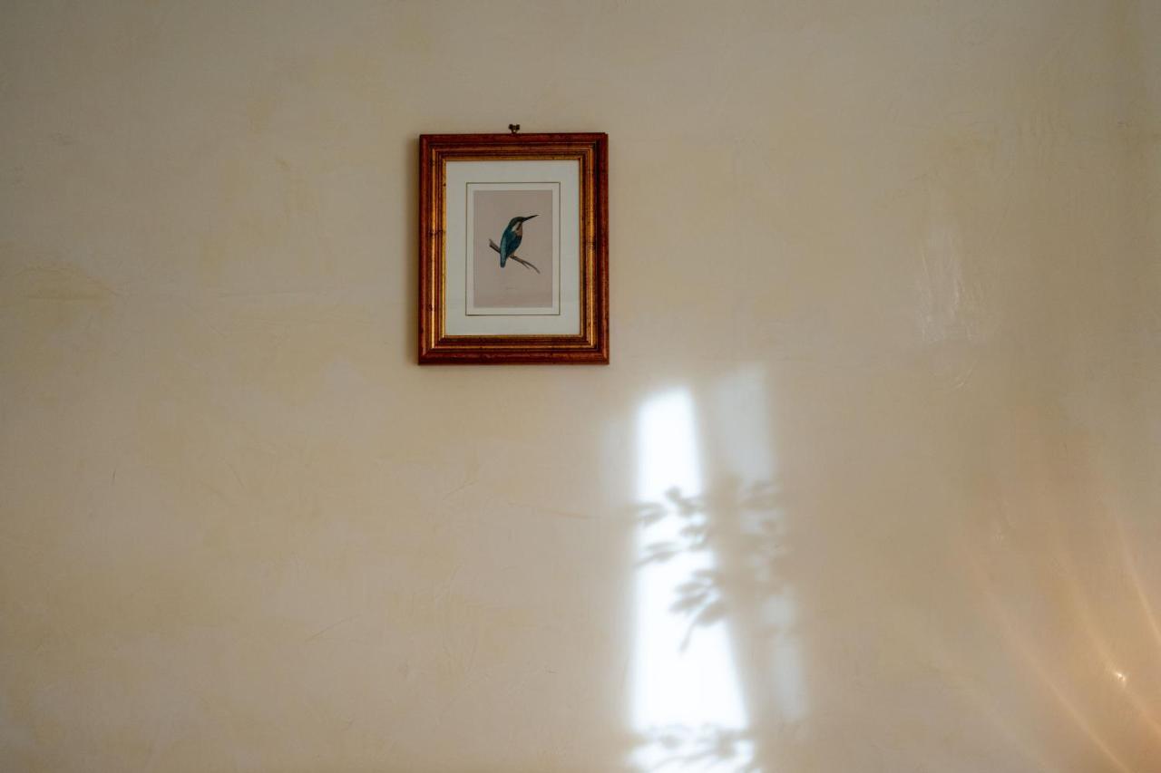 Ampio Con Vinili In Centro Storico Apartment