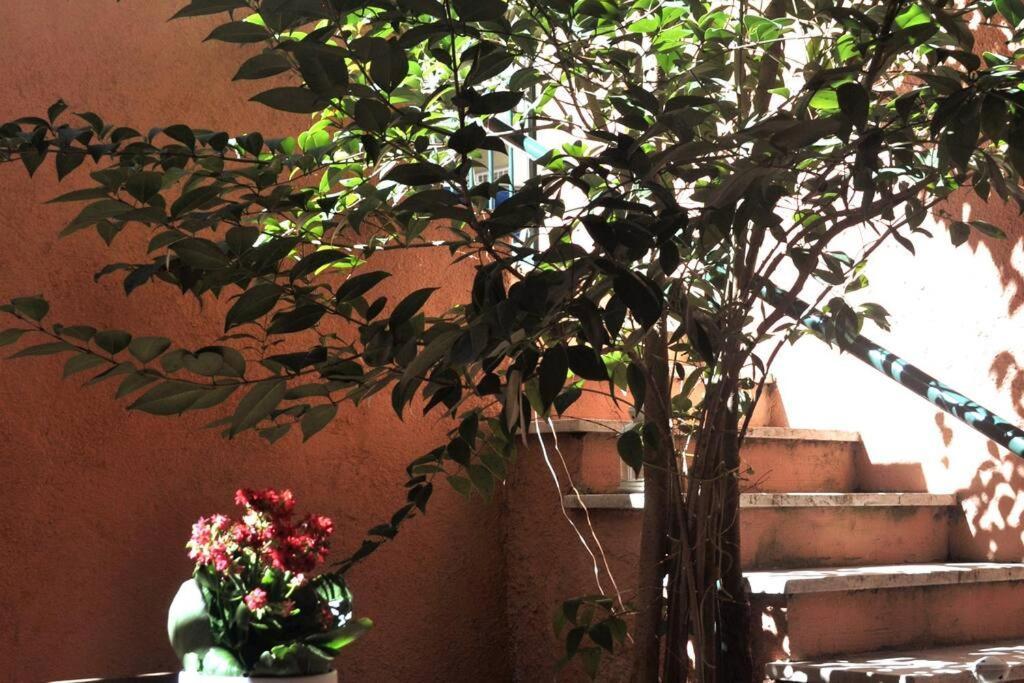 Appartement Casa Con Giardinetto Al Centro Di