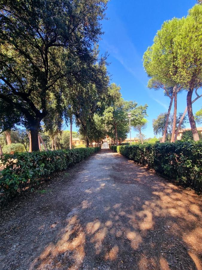 Carpegna 92 Wellness E Apartment