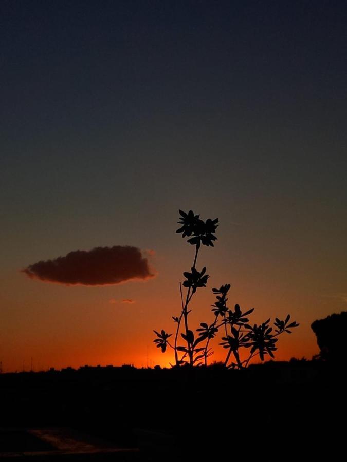 Appartement Il Tramonto *