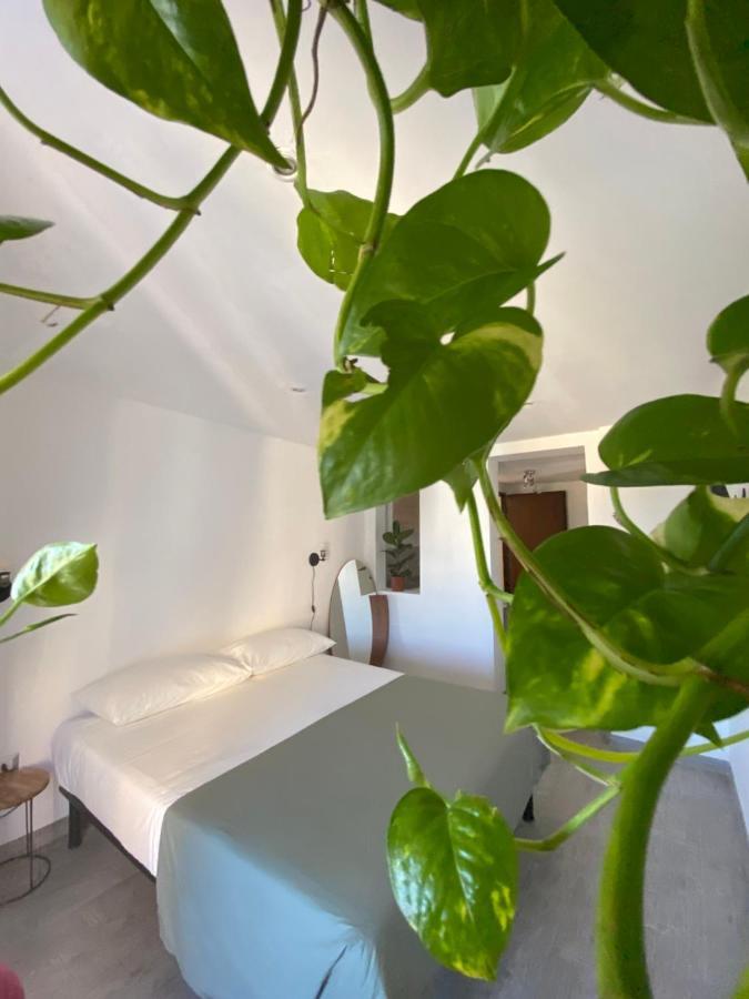 Appartement Il Tramonto Rome