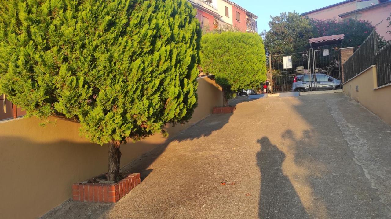 Pineta Sacchetti Homestay *