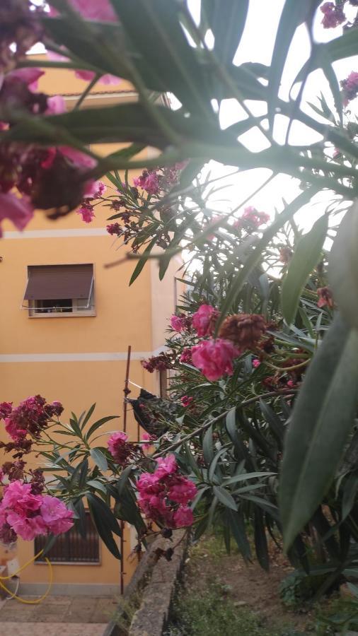 Pineta Sacchetti Rome