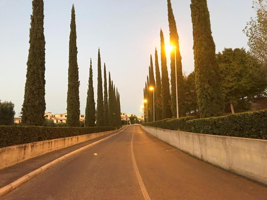 Gurrieri * Rome