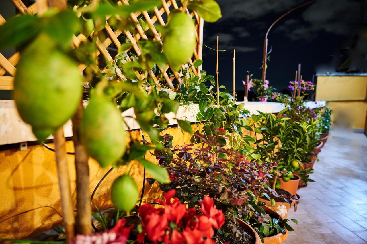 Terrace - Meospiti Penthouse Appartamento Roma