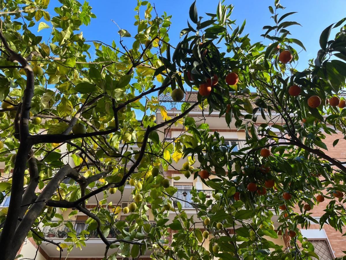 Acquedotti With Garden Apartment *