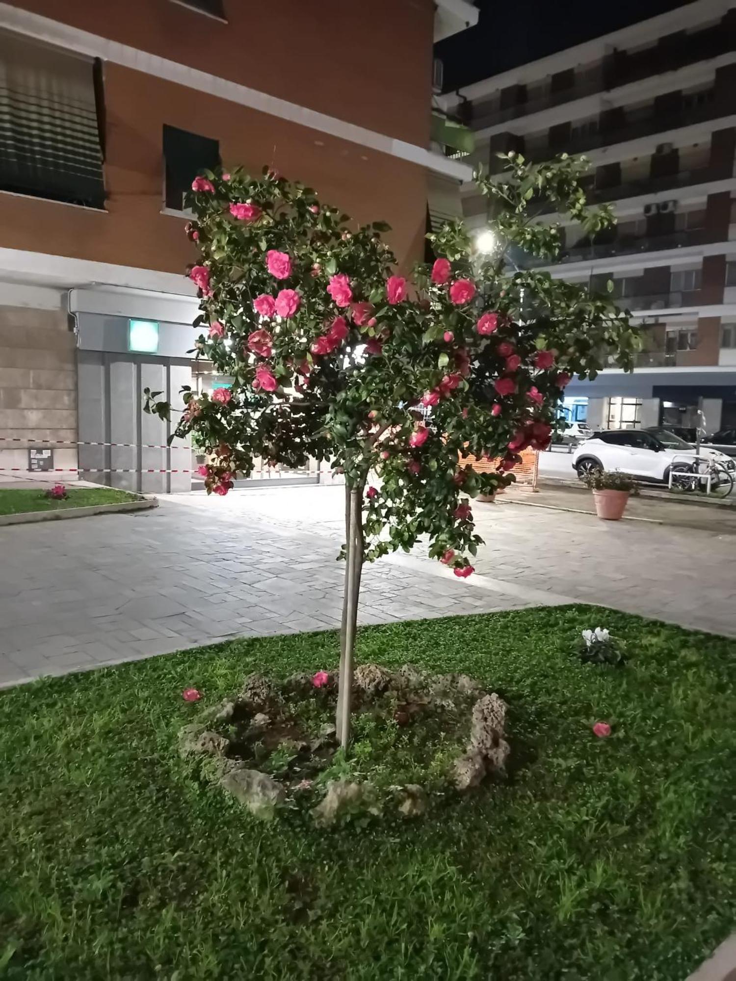 Olimpica Relais Guest House 2* Rome