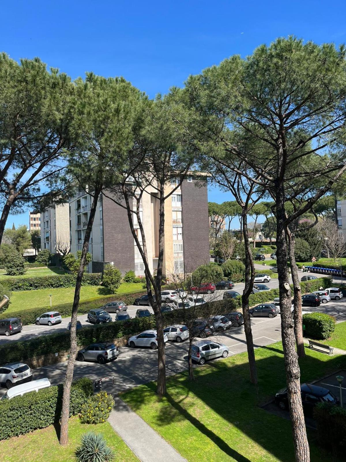 Umanesimo * Rome
