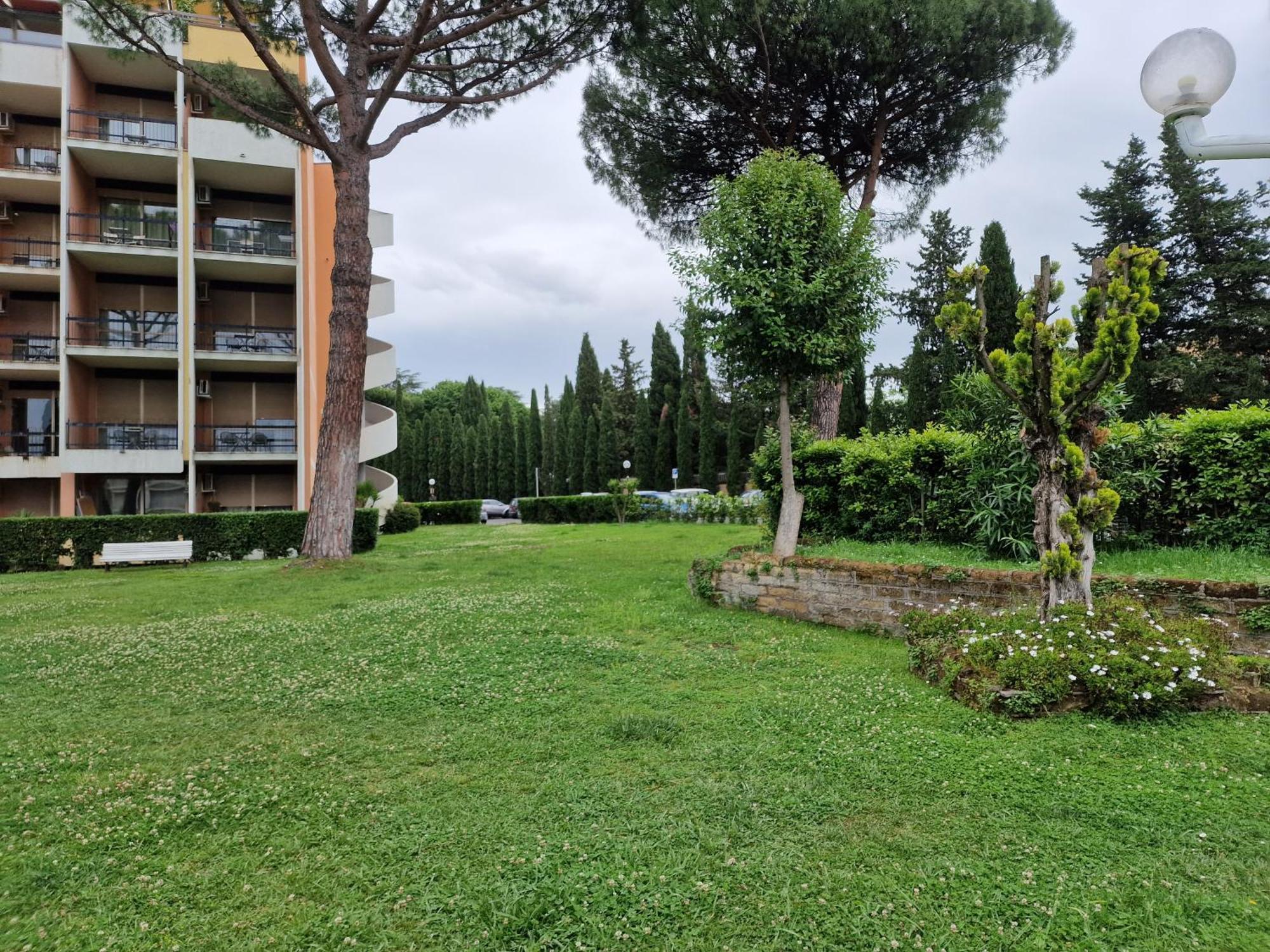 Aurelia Vatican 229 *