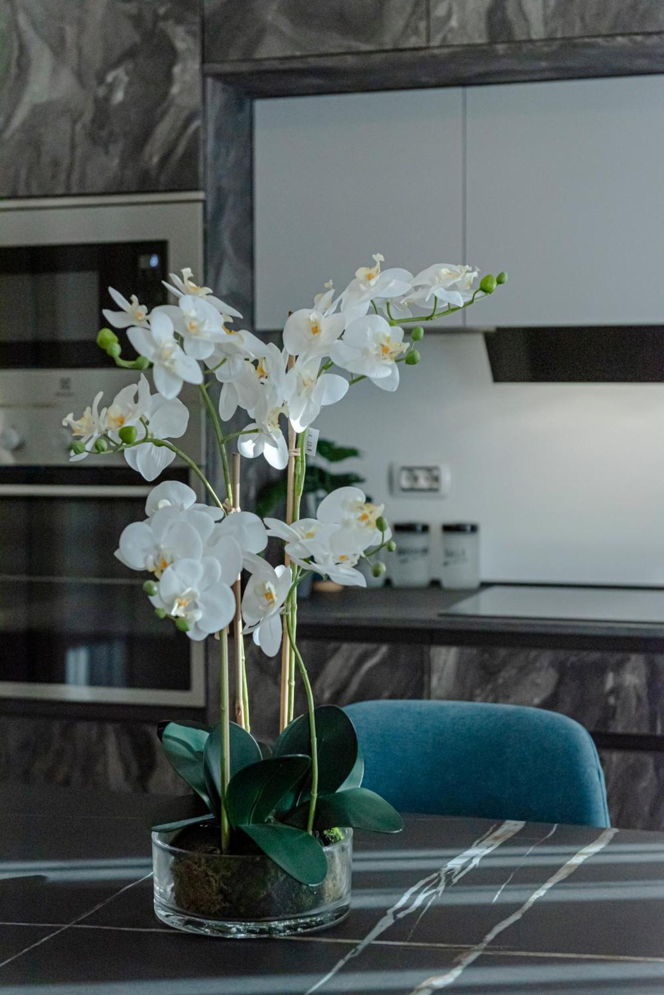 Guest house Il Narciso