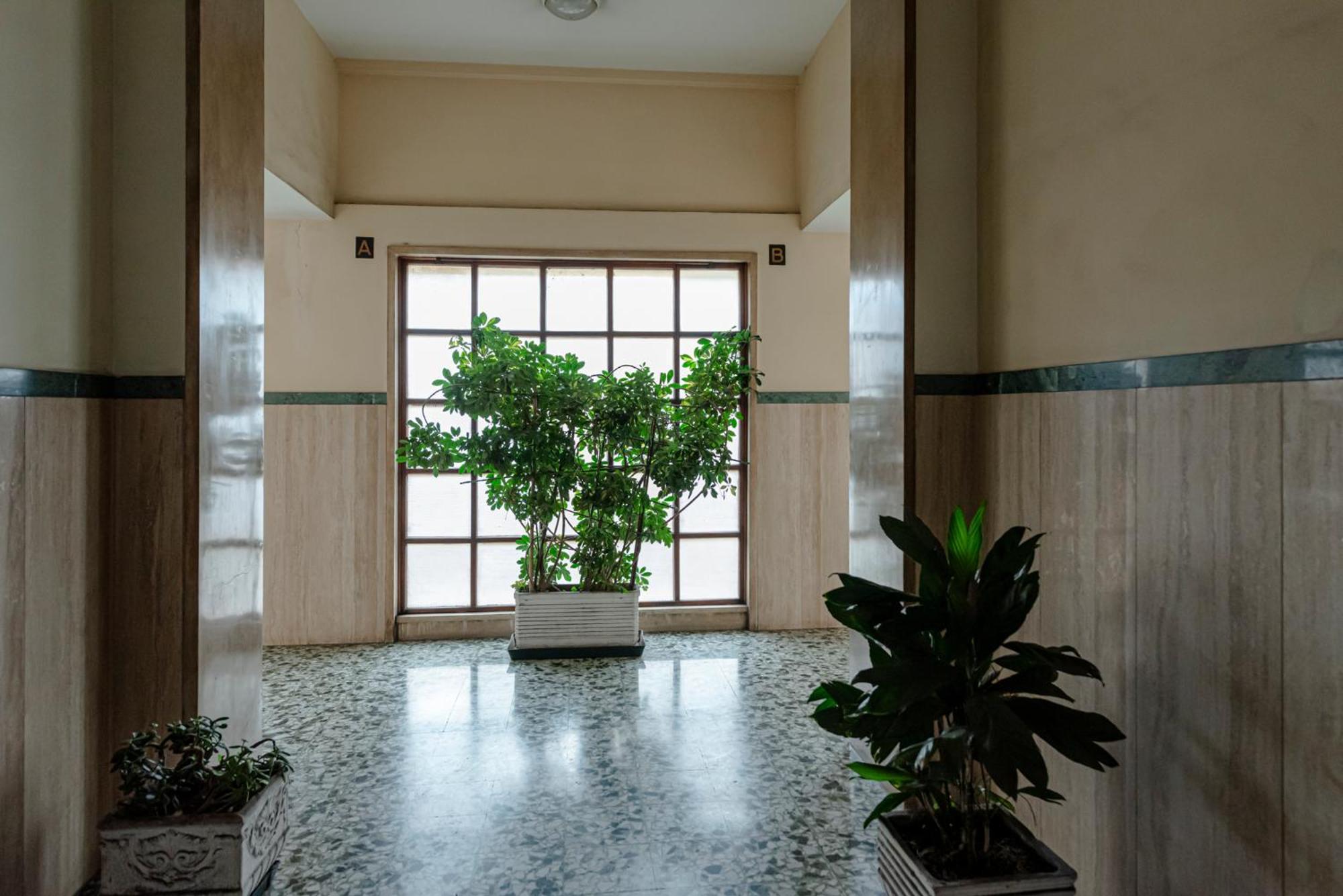 Il Narciso Guest house Rome