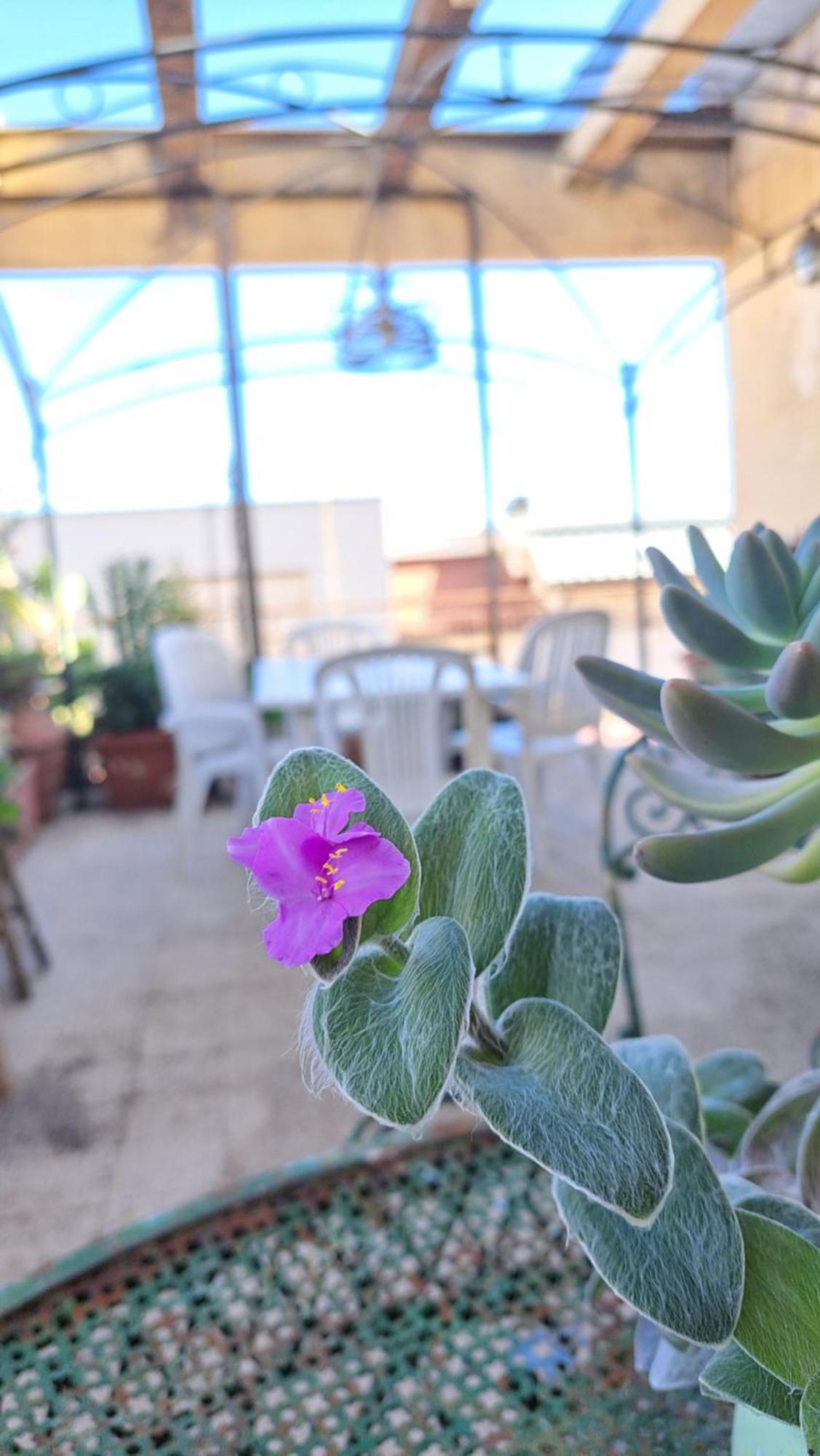 Apartamento Citta Giardino Roma
