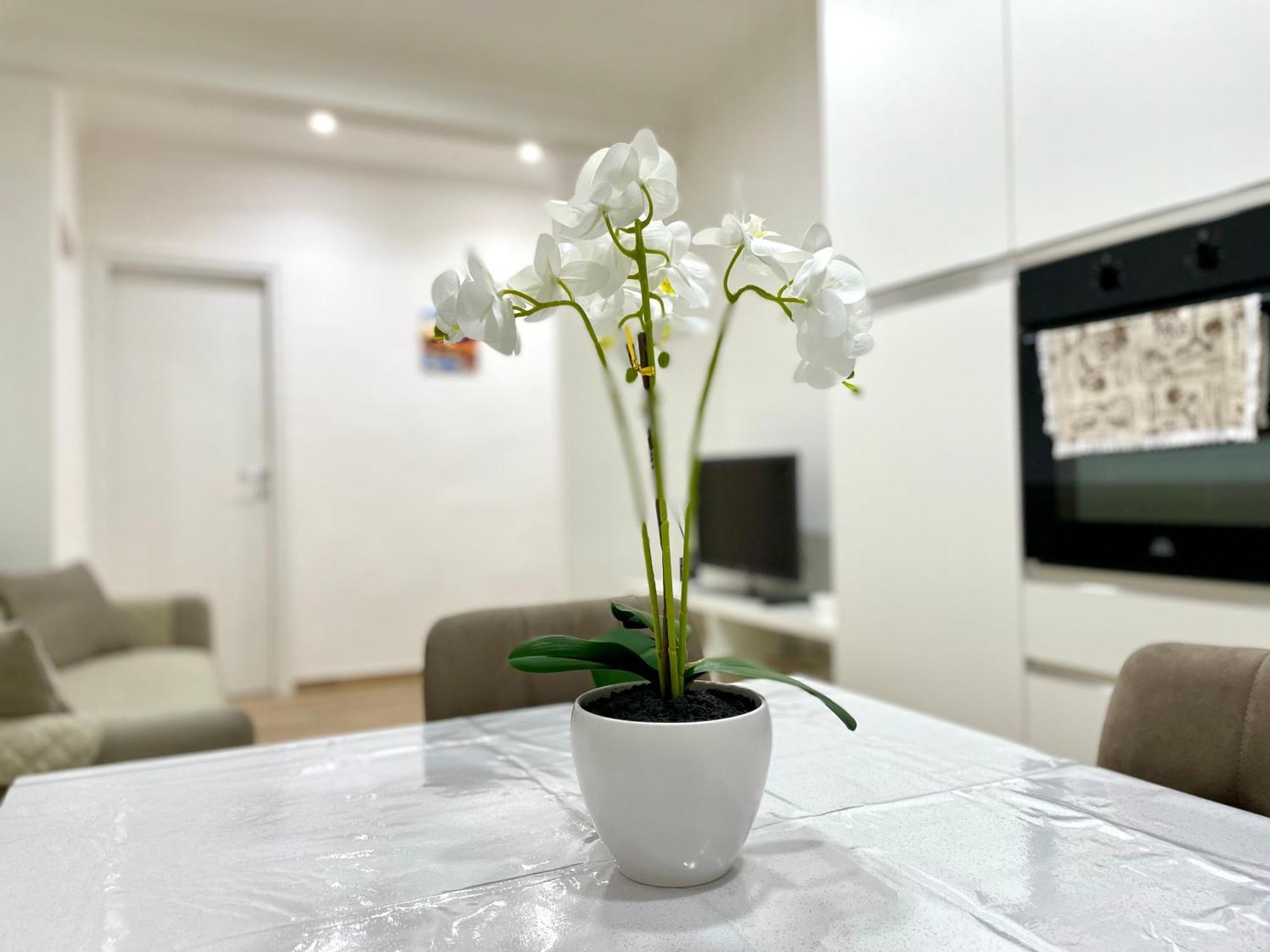Best Rome Apartment Apartamento *